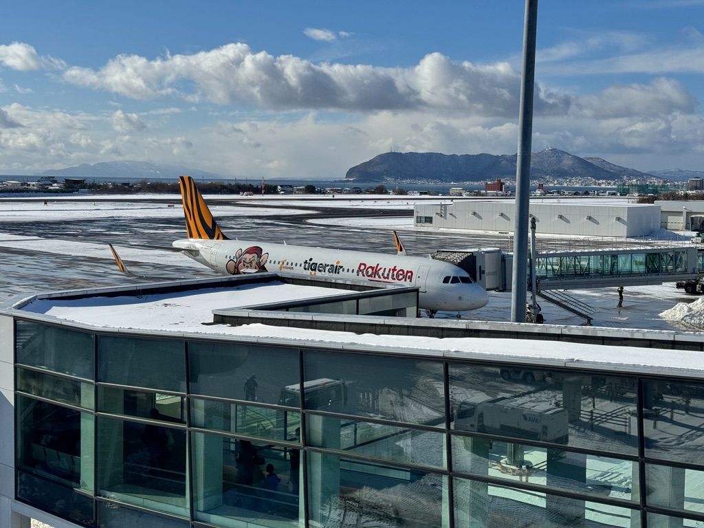 雪景色の中、函館山をバックにタイガーエア台湾