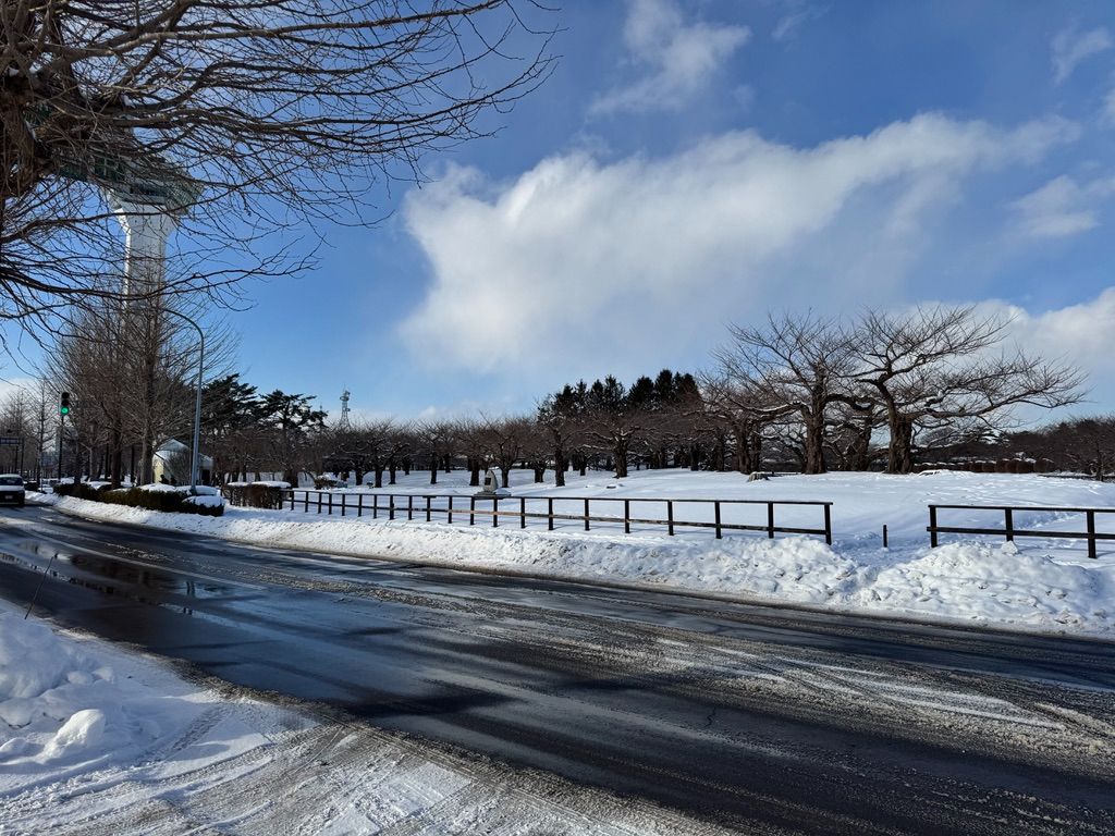 五稜郭公園の雪景色。この絶景スポットから徒歩圏内に、創業50年の老舗とんかつ店がある