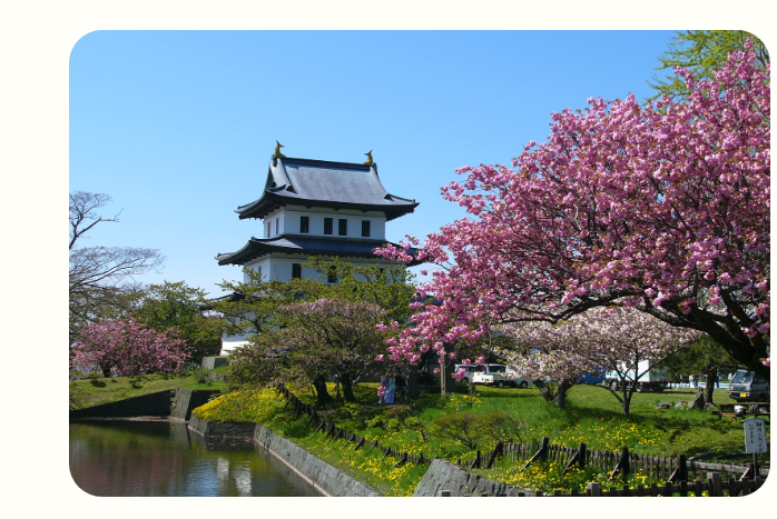 桜が咲く松前城