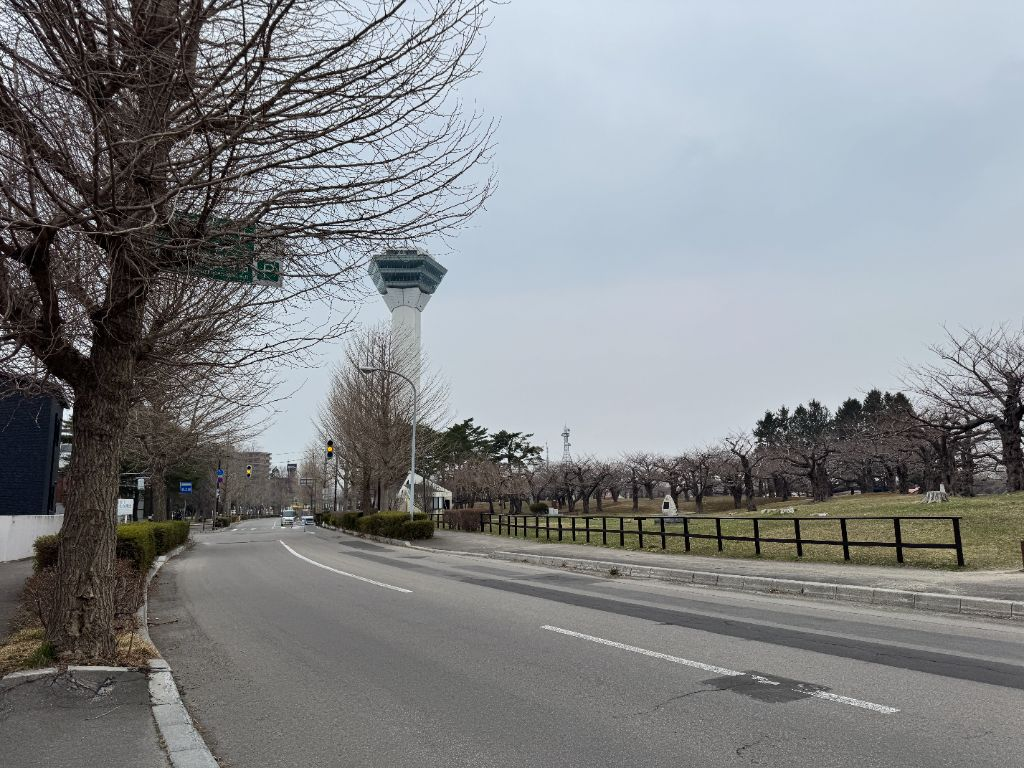 2026年4月1日撮影｜五稜郭タワーと桜並木の通り、開花前の風景