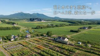 日ハム2軍本拠地、恵庭市に決定