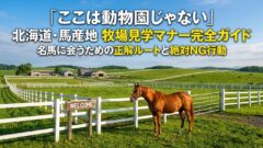 北海道・牧場見学マナー完全ガイド