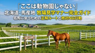 北海道・牧場見学マナー完全ガイド